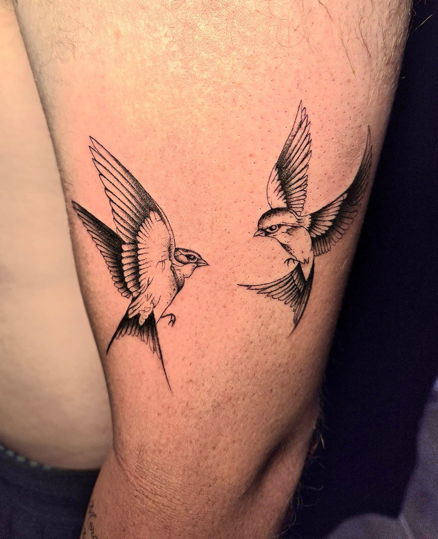 Deux hirondelles en vol tatouées en ligne fine sur la cuisse