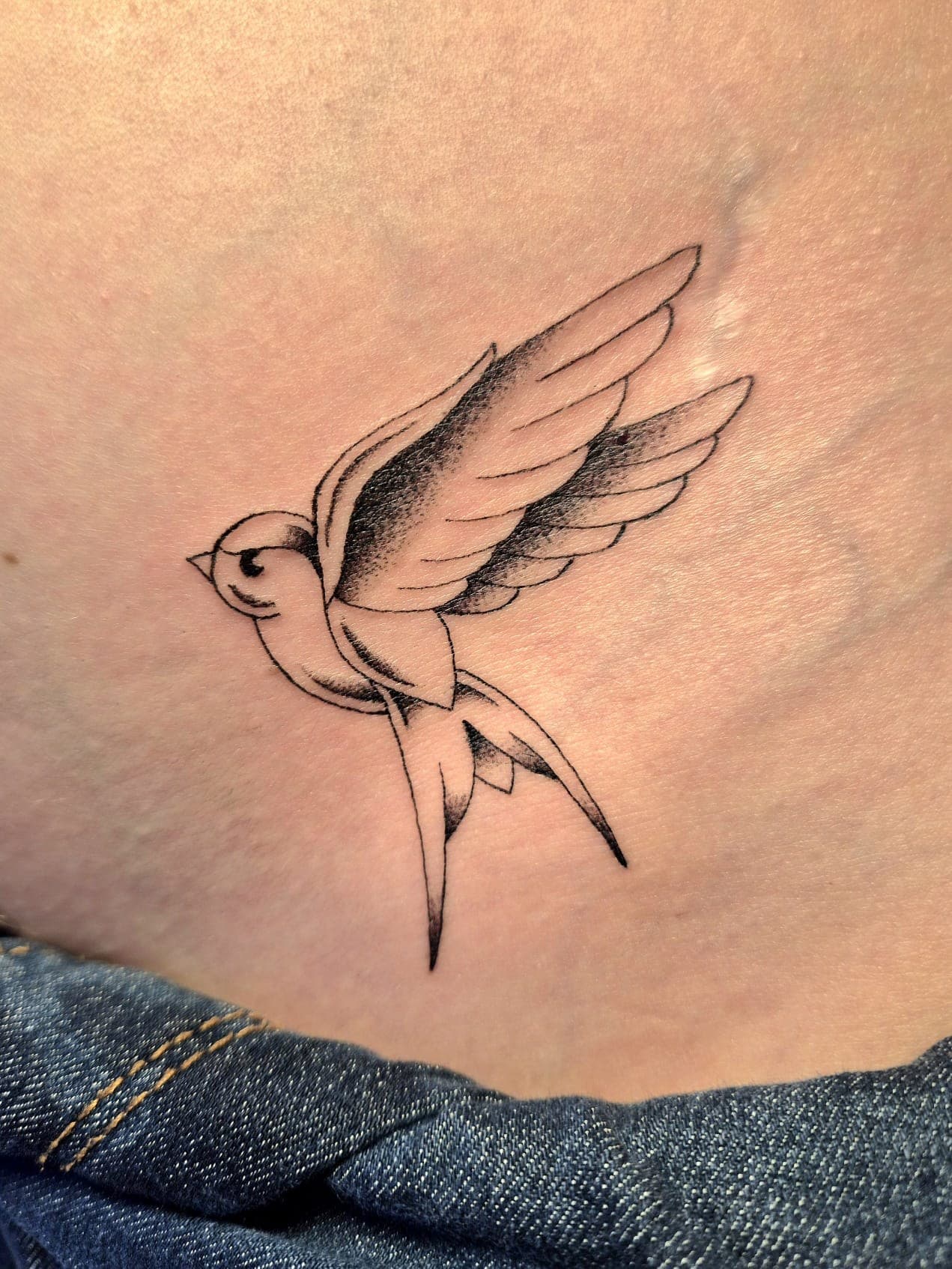 Hirondelle en vol tatouée en ligne fine sur l'omoplate, à Gruissan