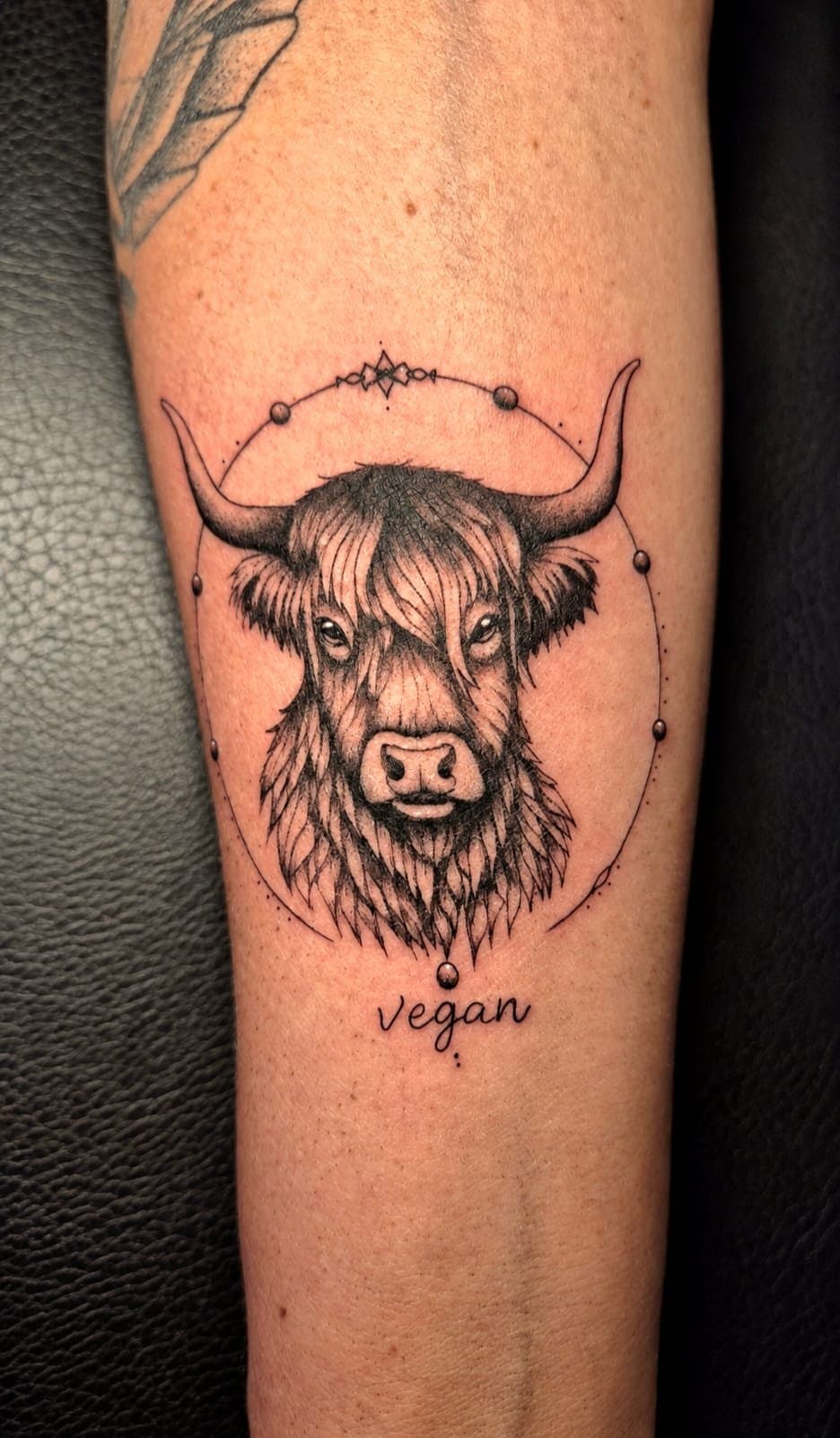 Vache Highland tatouée en micro réalisme dans un cercle ornemental, lettering « vegan », sur l'avant-bras